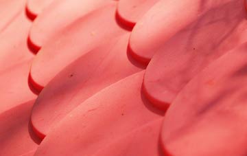 Exning plastic roof costs